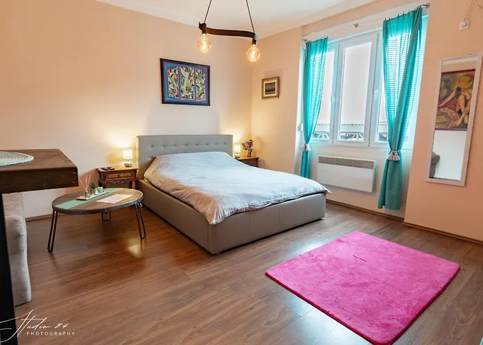 Spacious Studio In Pedestrian Zone