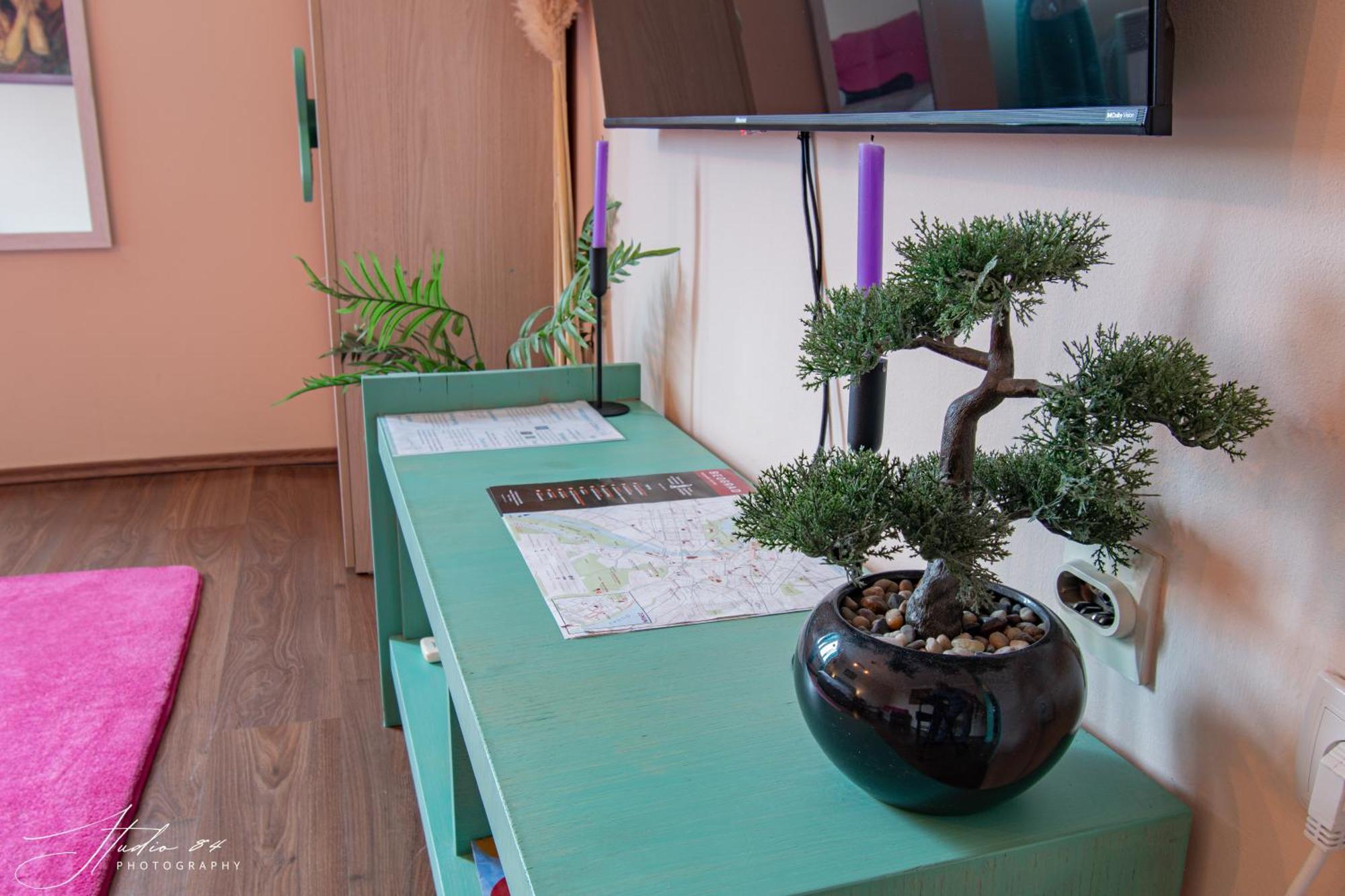 Spacious In Pedestrian Zone * Belgrado